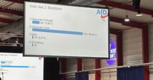 Überregional, Europa-Park: Feuer in Deutschlands größtem Freizeitpark