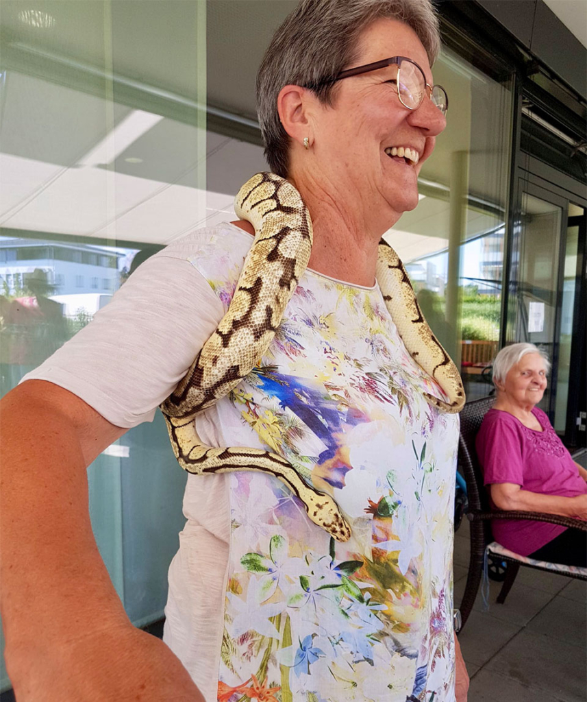 „Ich will doch nur kuscheln“, denkt sich Schlange Christa und fühlt sich bei Frau Walentin sichtlich wohl.