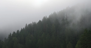 Tuttlingen, Biotonnen-Kontrollen starten im Landkreis Tuttlingen