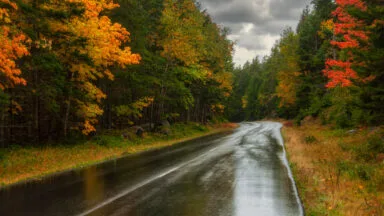 Wetter, Nasskaltes Wochenende: Regen und Wind in Baden-Württemberg