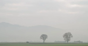Ravensburg, Ravensburg Leprechauns: Trainer Redondo stolz trotz Pokalaus