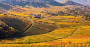 Aulendorf, STRONG RUN 2023: 20 Jahre Stadtlauf in Aulendorf