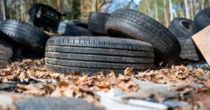 Tettnang, Sportlerehrung 2026: Stadt Tettnang startet Aufruf zur Meldung verdienter Sportlerinnen und Sportler