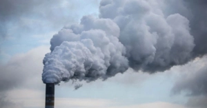 Weingarten, Weinbergfreunde suchen Erntehelfer