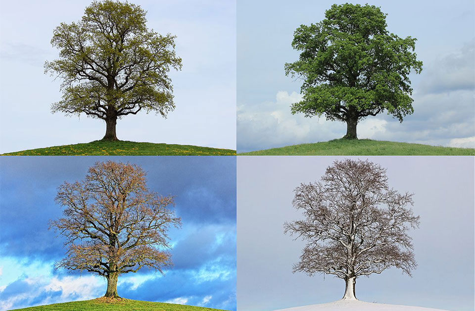 Aus der meteorologischen Sicht werden ganze Monate in Jahreszeiten aufgeteilt - so gehört der Dezember bereits zum meteorologischen Winter.