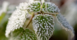 Konstanz, Veranstaltungen und Ausflüge: Unsere Tipps fürs Wochenende